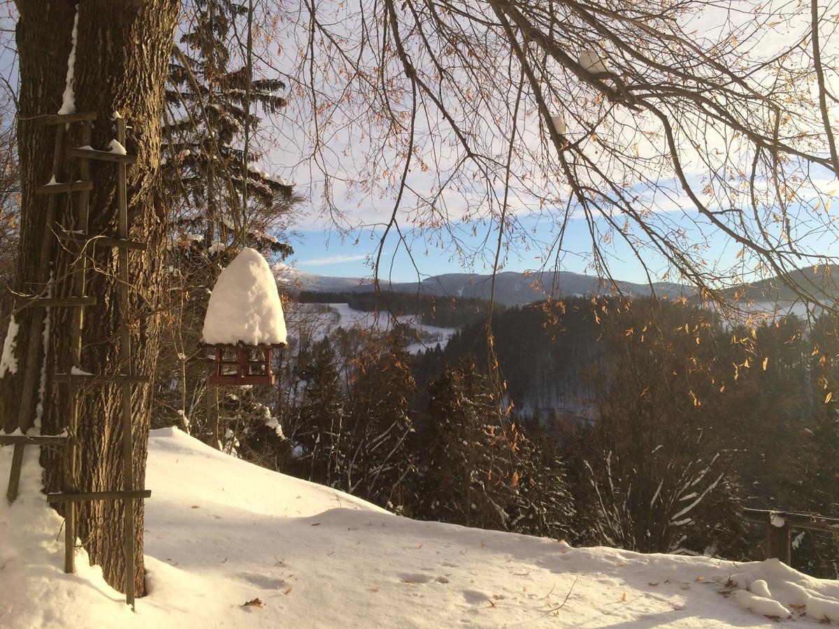 Chalupa Pod Skalou I. Paseky nad Jizerou Bagian luar foto